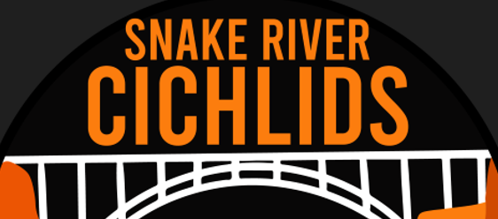 Snake River Cichlids logo