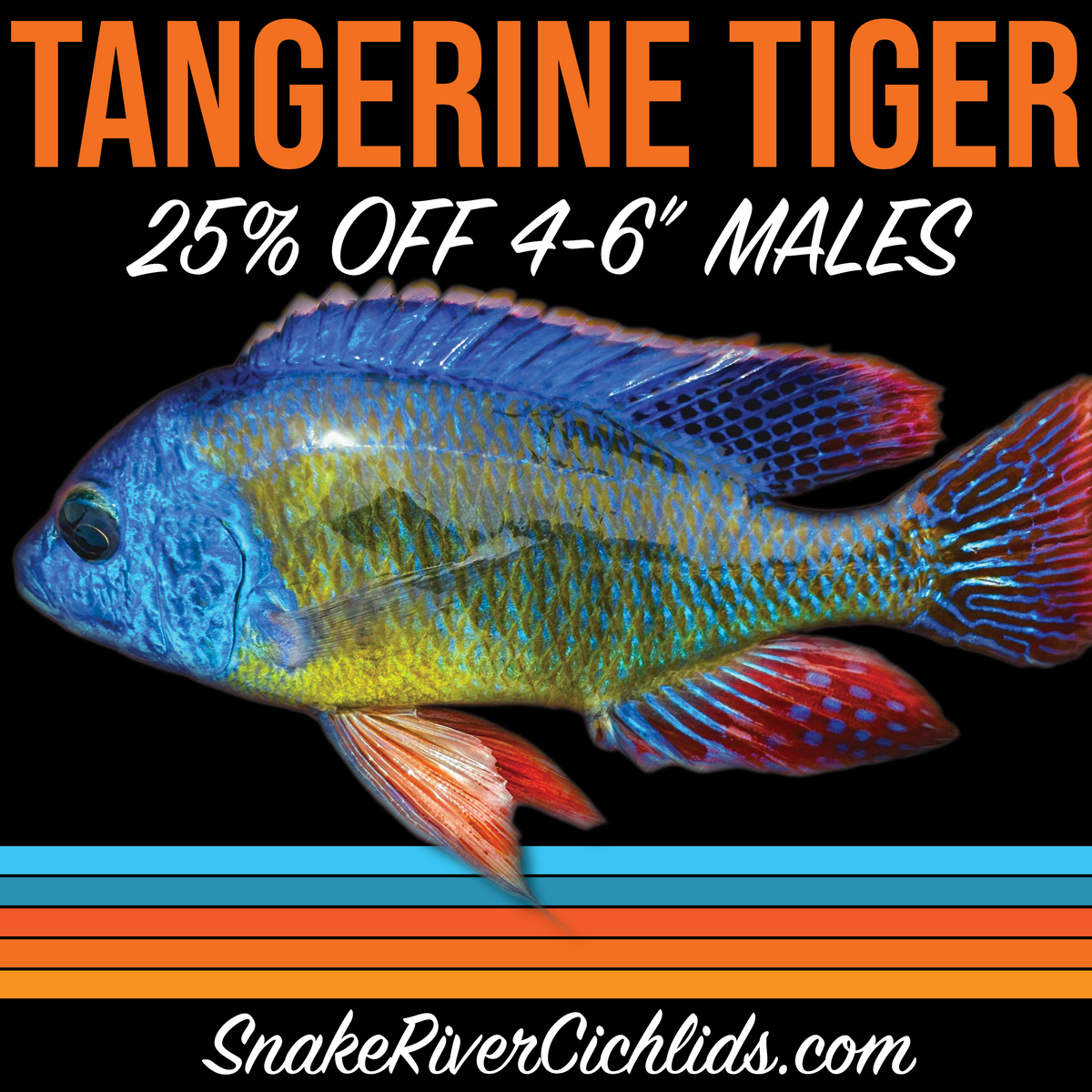 その他 POPMART HAPICO THE TIGAR Yosuke Ueno x POP MART Presents HAPICO The Art World Blind Box